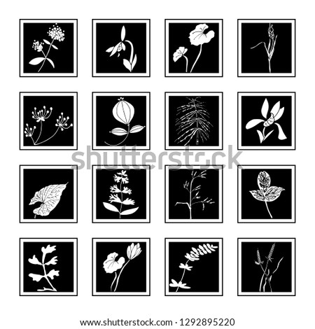 Set of icons with hand drawn herbs and flowers. Vector templates for your design.