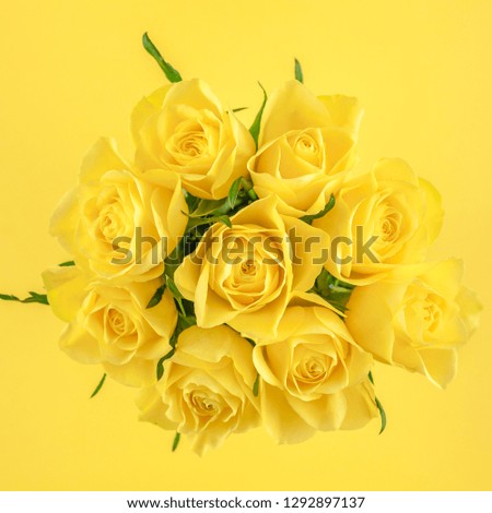 Creative top view flat lay fresh yellow roses bouquet with copy space bold color paper background minimalism style. Template feminine blog social media holiday wedding invitation card