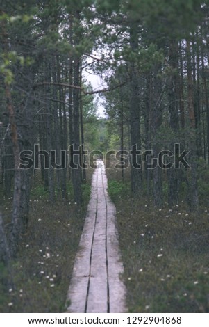 wooden plank footpath boardwalk in swamp area for recreation tourists. bog pine trees and first snow in winter afternoon light - vintage retro film look