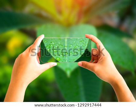 Hand holding mobile phone and take a photo Green Nature After Rain on blurred background with sunlight.Photo by select focus