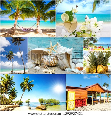 Collage from views of the Caribbean beaches, amazing landscape of Samana, Dominican Republic, with hammock, shells, palm trees, a Caribbean house, flowers, ocean, waves, sky, sun and clouds