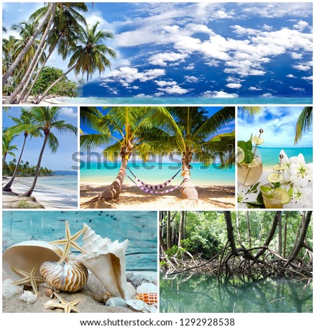 Collage from views of the Caribbean beaches, amazing landscape of Samana, Dominican Republic, with shells, palm trees, wild ocean, waves, sky, sun and clouds