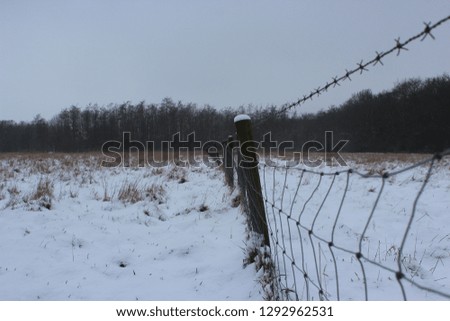 Wooden poles with barbed wire in a frozen field. Clear winter day.