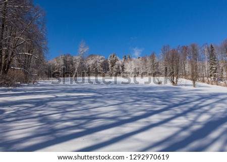 Winter rural landscape with snowy meadow and trees covered with snow
