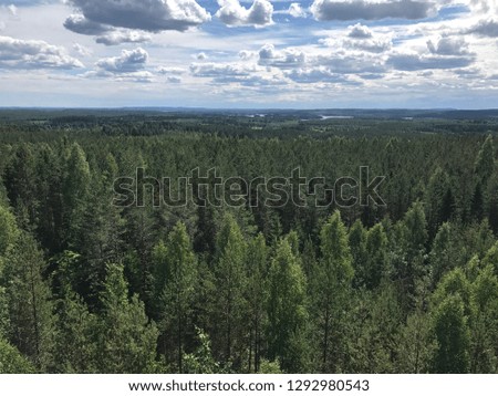 Aerial picture of an endless forest in Central Finland