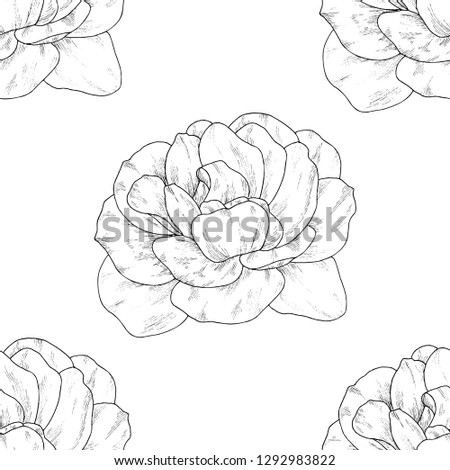 Seamless pattern. Plant in blossom, branch with flower ink sketch. Template for a business card, banner, poster, notebook, invitation, color book. Vector illustration for your design