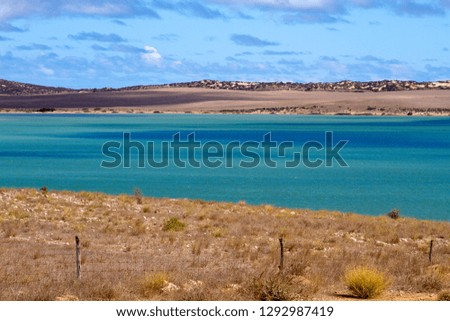 Beatuful colour in the sea near to Point Labatt Conservation Park, Eyre Peninsula, South Australia.
