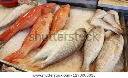 Fresh fish sold at a fish market