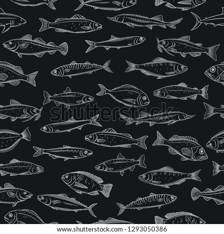 Fish seamless pattern. Background with hand drawn seafood tilapia, ocean perch, sardine, anchovy, sea bass, dorado and etc. Chalkboard style