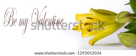 Facebook header Be my valentine, Yellow Flower romantic and elegant image suitable for many conditions.Wonderful, great, fantastic, impact, wonderful, beautiful, magnificent,enchanting, extraordinary 