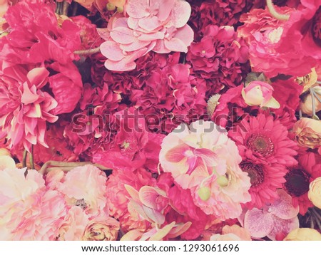 flower background, pink color, valentine 