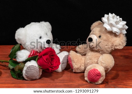 Two cute cuddly teddy bears with single red rose iand white bow on wooden table on dark background. Valentines, Mothers Day, Easter, Christmas, Wedding Concepts