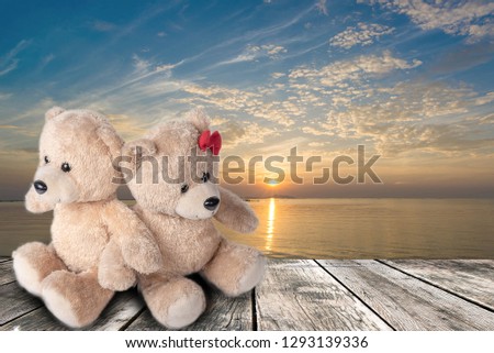 Bear lovers love cover that separates from the background