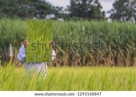 kid with Mirror in rice field