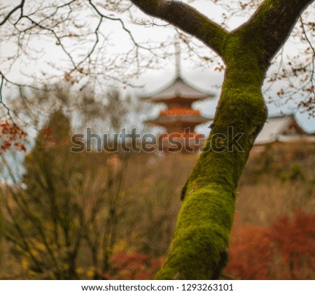 Kyoto, Japan in autumn, bright colored foliage.