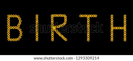 Fine art still life color image of the word birth constructed from floral/flower letter made of sunflower blossom macros on black background