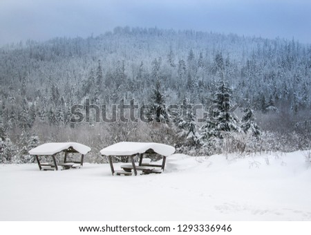 Beautiful winter landscape for the background,Carpathian Mountains