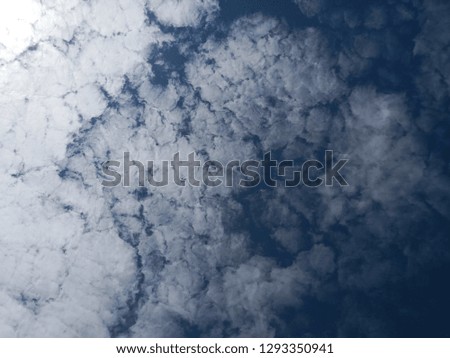 The Cloud on the blue sky, freedom,flying,Atmospheric phenomena. Background and texture,White clouds float in the blue sky on a summer day. 