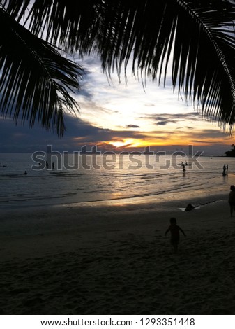 Sunset on the beach-silhouette