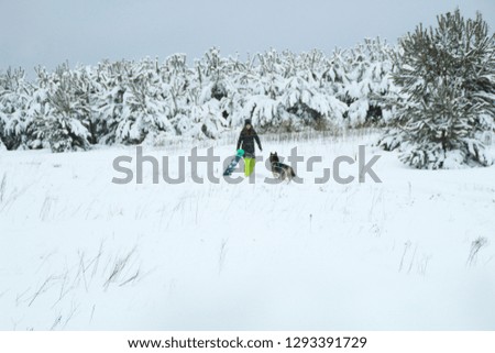 The girl goes with a snowboard and Husky dog in deep snow. Playing in the field. Winter Fun.