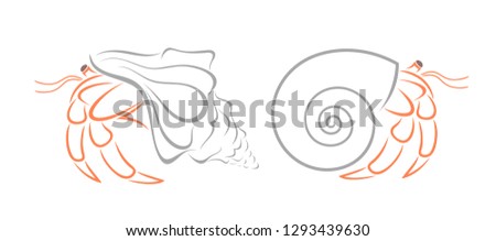 Crab hermit outline. Isolated crab on white background