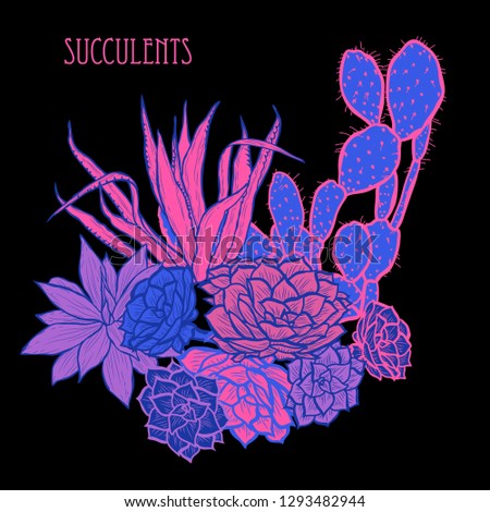 Decorative  succulent plants, design elements. Can be used for cards, invitations, banners, posters, print design. Floral background