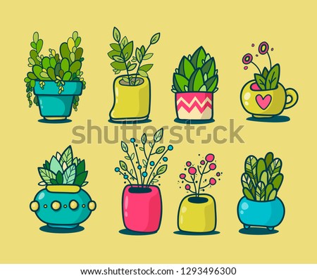Doodle Home Plants Collection, Hand Drawing Set of Various Pots and Succulents