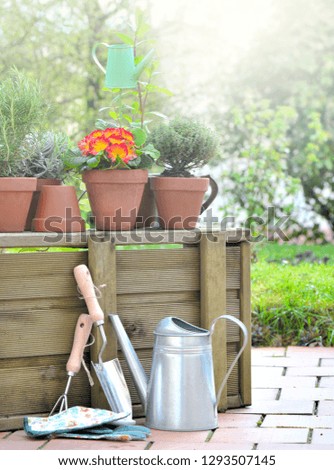 flowers and aromatic herbs potted on a wooden crate on a patio in a garden