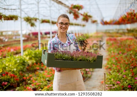 Pretty young woman holding a box full of spring flowers in the greenhouse