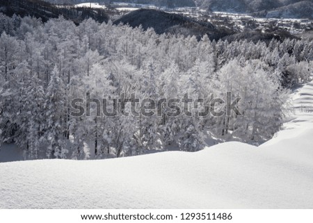 A closeup of a blanket of gleaming fresh powder snow at the edge of a mountain top above a valley filled with frozen trees in beautiful Hokkaido, Japan.