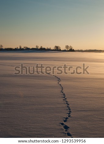 Footprints, road in the frozen snow field
