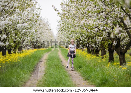 Little blonde girl skating in blooming apple and cherry garden. Warm springtime and mothers and woman day.
