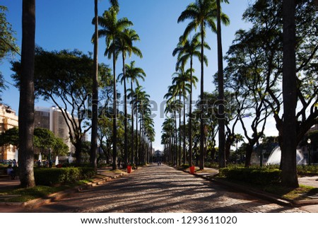 Amazing palm trees around Praça da Liberdade/Liberty Square in Belo Horizonte, Minas Gerais, Brazil. 