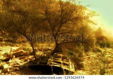 A beautiful picture of dried empty river bed composed of trees attached an old broken wooden door.