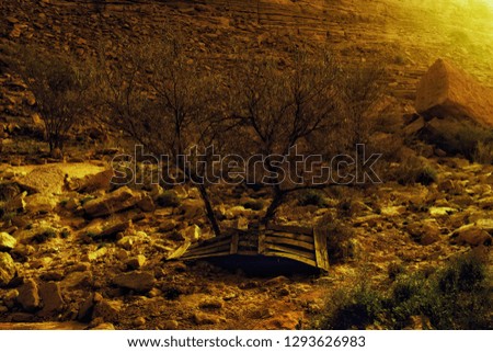 A beautiful picture of dried empty river bed composed of trees attached an old broken wooden door.