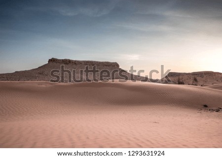 Splendid picture of Sahara desert, sand dunes, sunny day