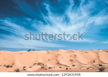 Splendid picture of Sahara desert, sand dunes, sunny day