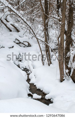 Unfrozen creek in a winter snow-covered forest. Vertical photo.