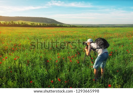 Photographer taking pictures of field with poppies during sunset 