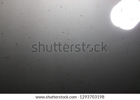 Black and white background with lights