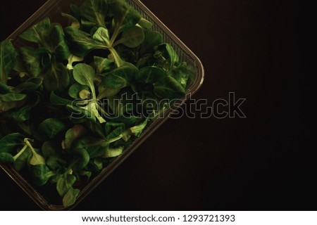 greens on a black background