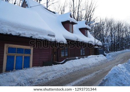 Village in wintertime                               
