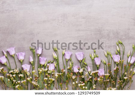 Spring flowers, valentines day greeting card, pastel color flowers on the gray background.