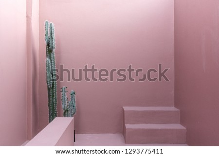 Minimal empty space scene with pink painted wall and little step and artificial cactus for photoshoot in natural light scene / studio concept / rose pink theme / outdoor studio / modern minimal style