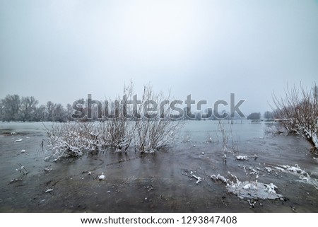 Danube island (Šodroš) near Novi Sad, Serbia. Colorful landscape with snowy trees, beautiful frozen river.