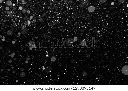 Real snow falling on black background. Falling snow of different shapes and sizes. Blurred snow texture to use as a design element or as an overlay for other photos.