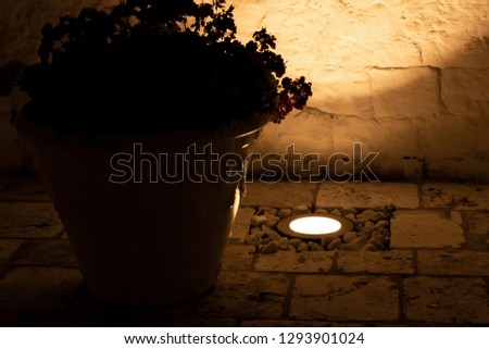 Night in a farmhouse in the Apulian countryside, in southern Italy. A floor lamp illuminates a vase with flowers from below. Royalty-Free Stock Photo #1293901024