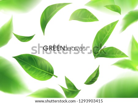 Green leaves. leaves whirl in the air. Spring.  Element for design, advertising, packaging products. white background 3d illustration