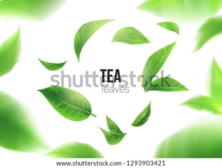 Green tea. Tea leaves whirl in the air.  Element for design, advertising, packaging of tea products white background 3d illustration Royalty-Free Stock Photo #1293903421
