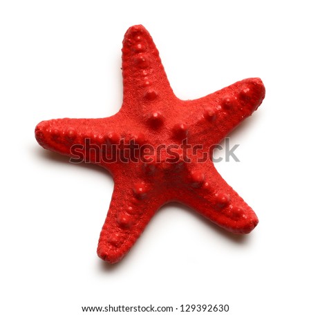 Sea star on white background Royalty-Free Stock Photo #129392630
